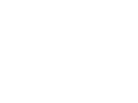 Logo Société des Traversiers de Québec