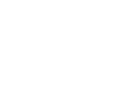 Logo Ville de Lévis