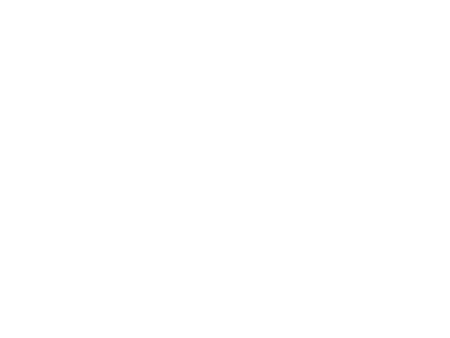 Société de transport de Lévis logo