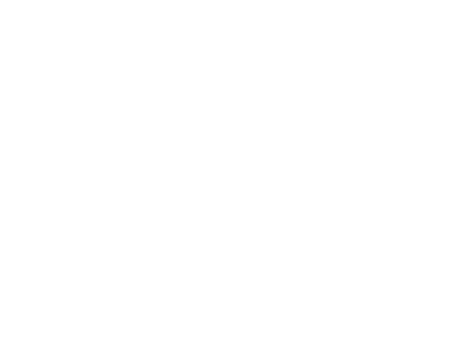 Logo Ville de Québec