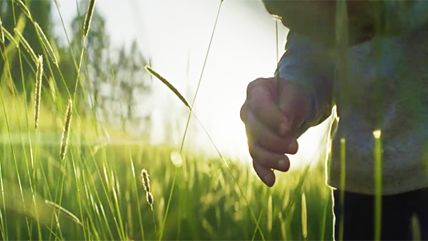 Close up on a child's hand in a field