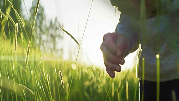 Close up on a child's hand in a field 